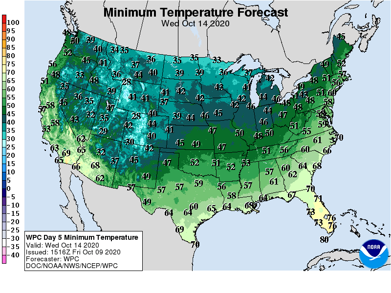 Minimum Temperature Forecast